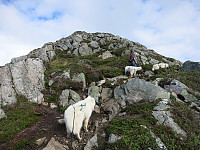 opps_20191201_5de420b55327c.jpg
