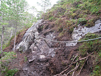 opps_20191201_5de420d21f034.jpg