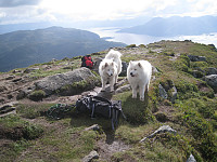 opps_20191201_5de42113e2749.jpg