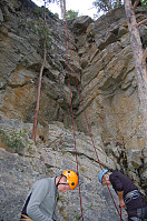 opps_20191204_5de7fde4db02c.jpg