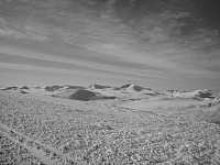 opps_20191209_5dee730f7d37b.jpg
