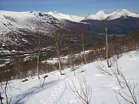 opps_20191210_5defc58290402.jpg