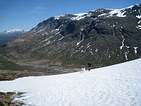 opps_20191210_5defce2908ff5.jpg