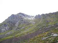 opps_20191215_5df62620350ee.jpg