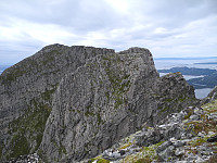 opps_20191215_5df62636a6685.jpg