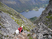 opps_20191215_5df6263b683b8.jpg