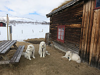 opps_20191218_5dfa82644d7e1.jpg
