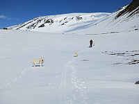 opps_20191218_5dfa82688e180.jpg