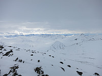 opps_20191218_5dfa853b7a927.jpg