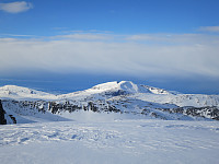 opps_20191218_5dfa85493e510.jpg