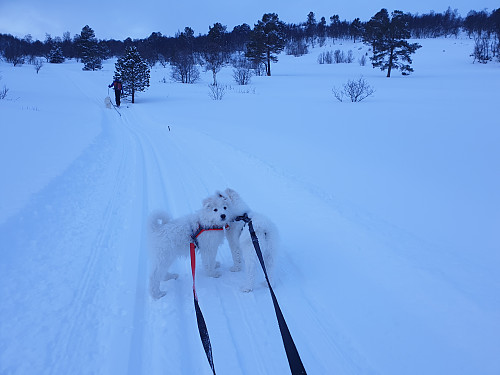 Klarte å gå helt opp uten hjelp...
