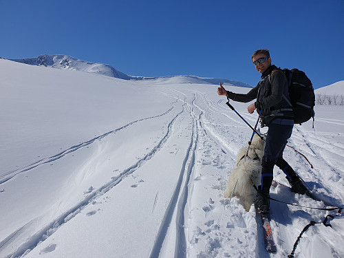 Utrolig mye snø innover dalen, lenge siden jeg har sett så mye.