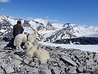 opps_20200726_5f1dd5df76859.jpg