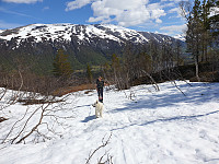 opps_20200726_5f1df735a2874.jpg