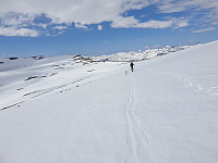 opps_20200726_5f1df753b3e49.jpg