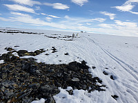 opps_20200727_5f1e02e7c14d2.jpg