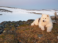 opps_20200728_5f208e0d7f312.jpg