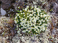 opps_20200728_5f209374d014c.jpg