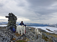 opps_20200728_5f20937b994ab.jpg