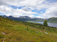 opps_20200729_5f219ea650ee2.jpg