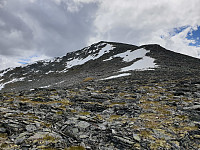 opps_20200729_5f219eb7a1eef.jpg