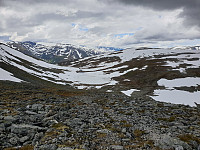 opps_20200729_5f219ec6914fb.jpg