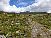 opps_20200729_5f21a5bc6cf42.jpg