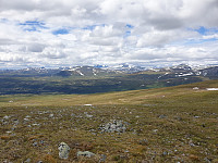 opps_20200729_5f21a5c401f45.jpg