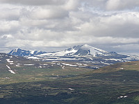 opps_20200729_5f21a5c90d889.jpg