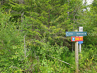 opps_20200729_5f21b094d04bd.jpg
