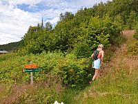 opps_20200729_5f21bf8dc0855.jpg