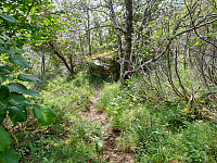 opps_20200729_5f21bf9c4c0de.jpg