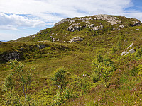 opps_20200729_5f21bfa825168.jpg