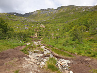 opps_20200730_5f22854bb61c7.jpg