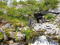 opps_20200730_5f228559893b1.jpg