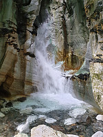 opps_20200730_5f22856d87031.jpg