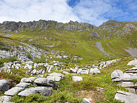 opps_20200730_5f22858f1ed8d.jpg
