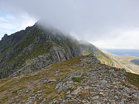 opps_20200730_5f22859781a81.jpg
