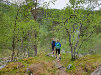 opps_20200803_5f2804839ac10.jpg