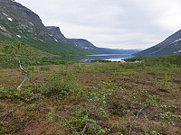 opps_20200803_5f2807257f396.jpg