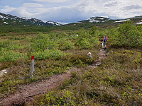 opps_20200803_5f280765a3b0d.jpg