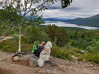 opps_20200825_5f44d6da85249.jpg