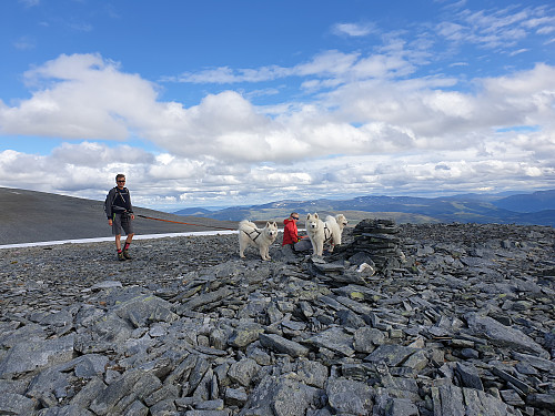 Sørvest for Blåhøa 1600 moh
