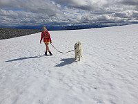 opps_20200825_5f44d7e45cccd.jpg