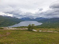 opps_20200825_5f456e38ce4f0.jpg