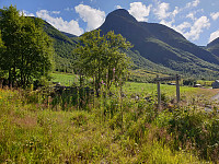 opps_20200826_5f46bc1a862c7.jpg