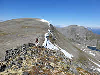 opps_20200826_5f46bc3e9775c.jpg