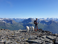 opps_20200826_5f46bc593c40c.jpg