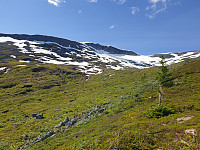 opps_20200826_5f46c6fb3d710.jpg