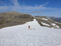 opps_20200826_5f46c71e77d23.jpg